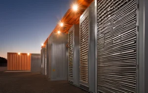 Bourbon waste transformed into energy storage materials