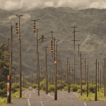 Kauai Cooperative Asks Hawaii Regulators to Bill Members $9.4 Million for Wildfire Work